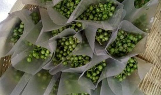 青花椒怎么储藏