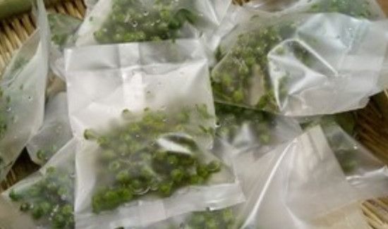 青花椒怎么储藏