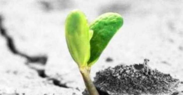 一个人如何在逆境中成长？