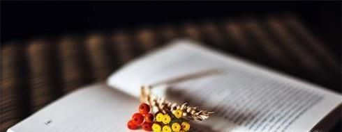 表达能力差怎么办