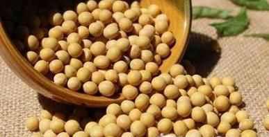 4大方面解析干豌豆与干黄豆的区别