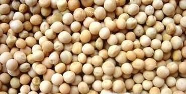 4大方面解析干豌豆与干黄豆的区别