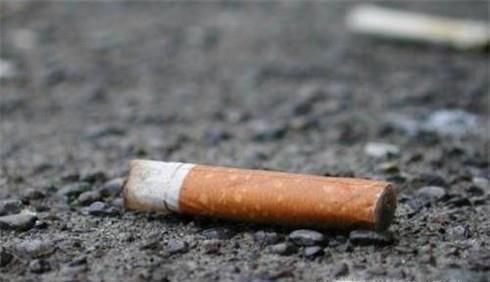 花盆里长虫了怎么办