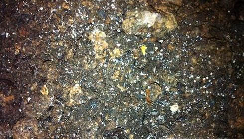 花盆里长虫了怎么办