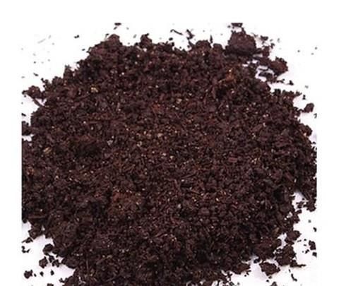 花盆里长虫了怎么办