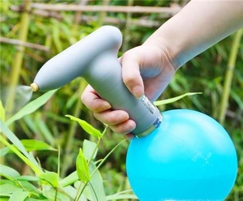 花盆里长虫了怎么办