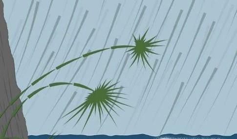 怎么样给宝宝取名字