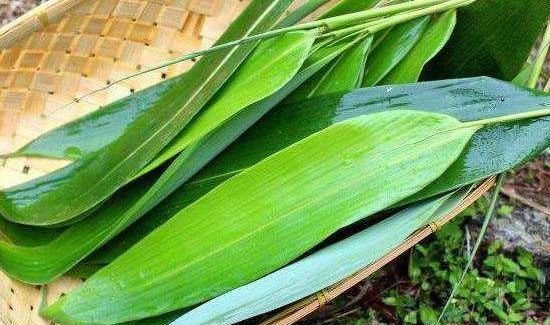 粽子叶需要泡多久