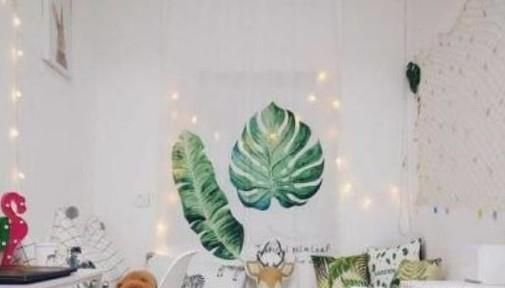 怎样改造出租房