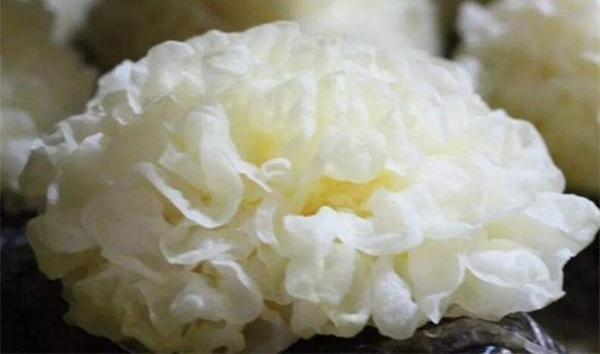 木耳的功效与作用