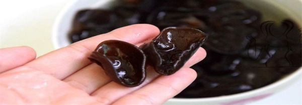 温水泡木耳泡多久能吃