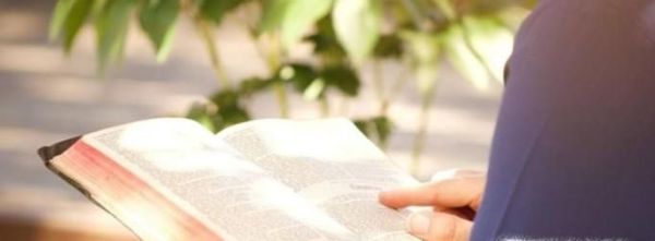 如何提高组织语言能力