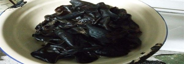 吃泡久了的木耳怎么补救