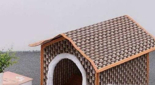 养宠物狗要准备哪些东西