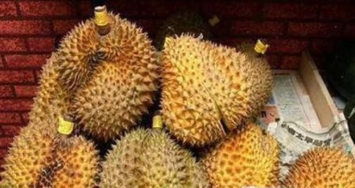 教你如何辨别榴莲是否熟了