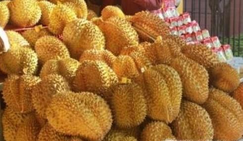 教你如何辨别榴莲是否熟了