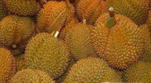 教你如何辨别榴莲是否熟了