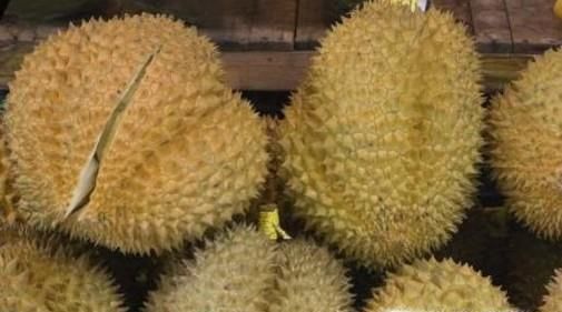 教你如何辨别榴莲是否熟了