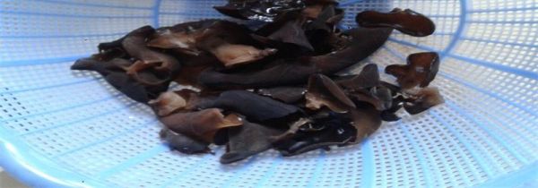 木耳的正确泡法及时间