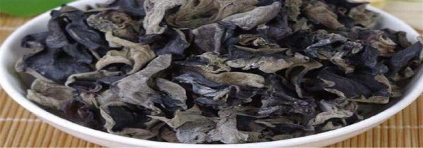 木耳的食用与禁忌