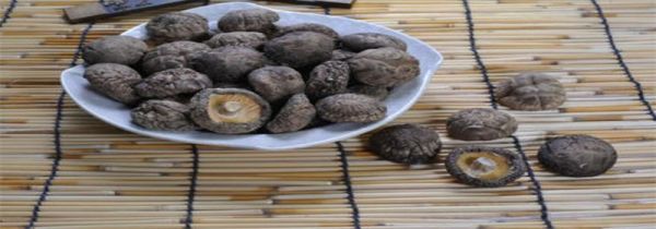 干香菇保质期多长时间