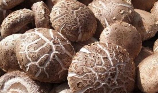 干香菇保质期多长时间