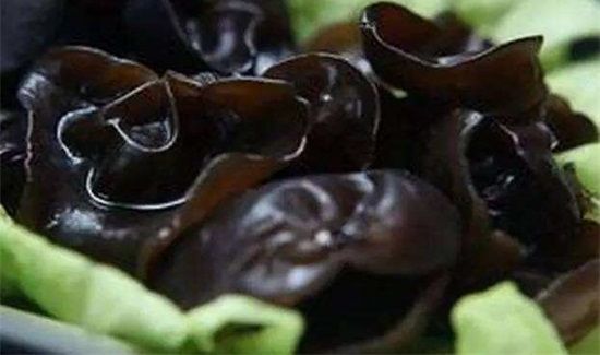 木耳泡10小时还能吃不