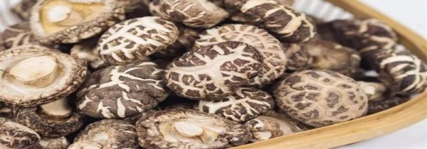 干香菇泡多久合适