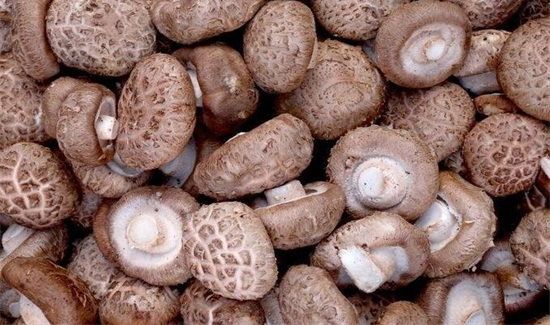 干香菇泡多久合适