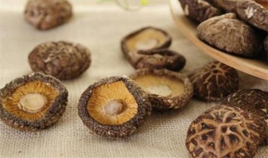 干香菇要煮多久才熟