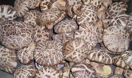 干香菇要煮多久才熟