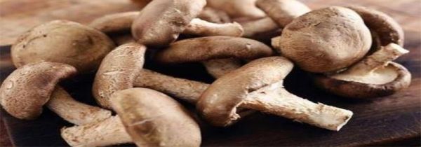 干香菇发霉了还能吃吗