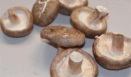 干香菇发霉了还能吃吗