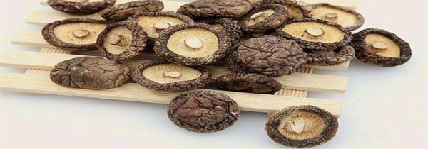 干香菇能保存多久