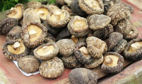 干香菇能保存多久