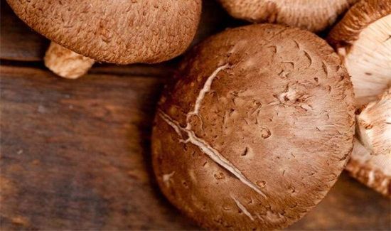 干香菇能保存多久