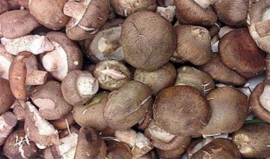 干香菇泡了两天还能吃吗