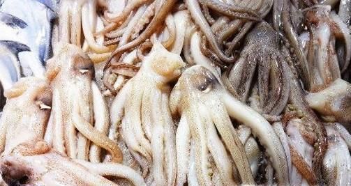 鱿鱼都有什么营养？