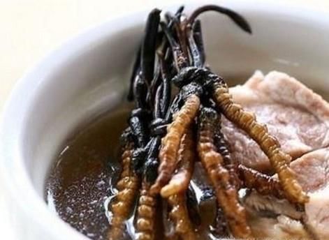 冬虫夏草泡水喝好吗