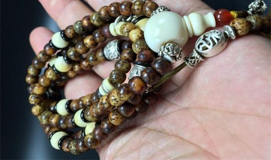 星月菩提泡水怎么补救