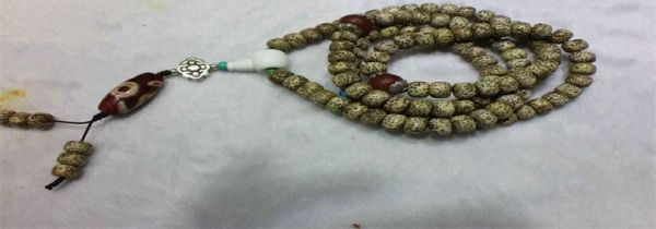 星月菩提泡水怎么补救