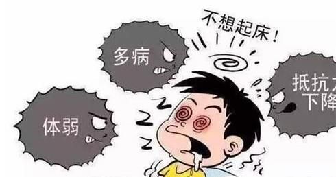 菊苣根茶适宜人群有哪些