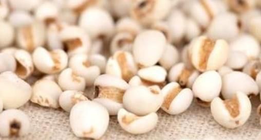 怎么判断薏米新不新鲜 薏米怎么挑选