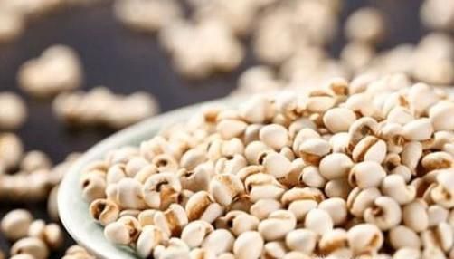 怎么判断薏米新不新鲜 薏米怎么挑选