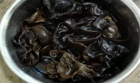 泡好的黑木隔夜怎么保存