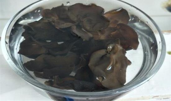 泡好的黑木隔夜怎么保存