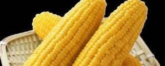 夏季湿气重 8种食物最祛湿