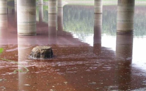 水污染的危害有哪些