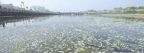 水污染的危害有哪些