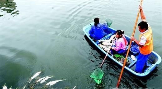 水污染的危害有哪些